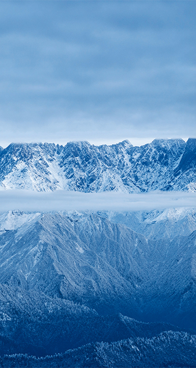 关于hy3380cc海洋之神