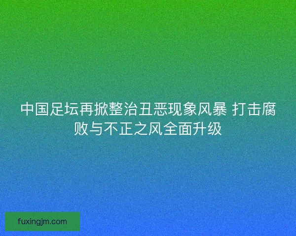 中国足坛再掀整治丑恶现象风暴 打击腐败与不正之风全面升级